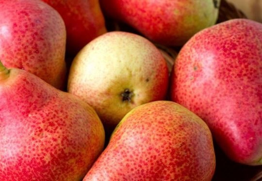 Loại quả ngọt người tiểu đường vẫn có thể ăn