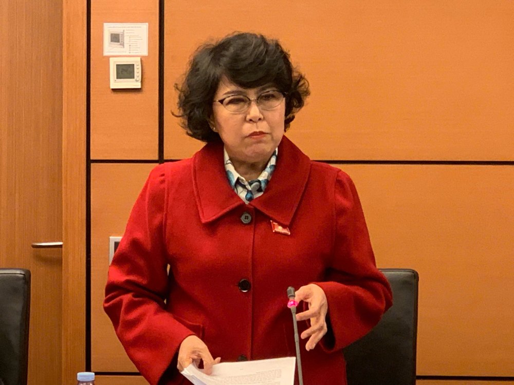 Đại biểu Quốc hội Tô Thị Bích Châu. Ảnh: Phạm Đông