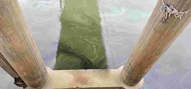 Xuất hiện vết dầu loang bất thường trên sông Bằng Giang, Cao Bằng