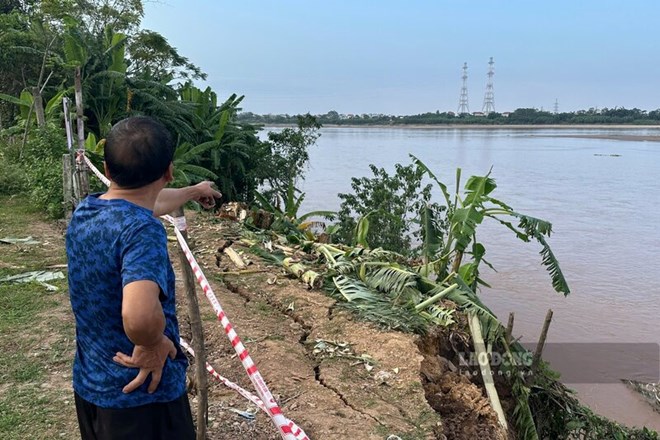 Phú Thọ chỉ định thầu gần 70 tỉ đồng xây 2 tuyến kè sông Hồng