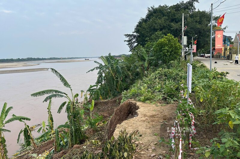 Đoạn sạt lở tại xã Tam Nông. Ảnh: Tô Công.