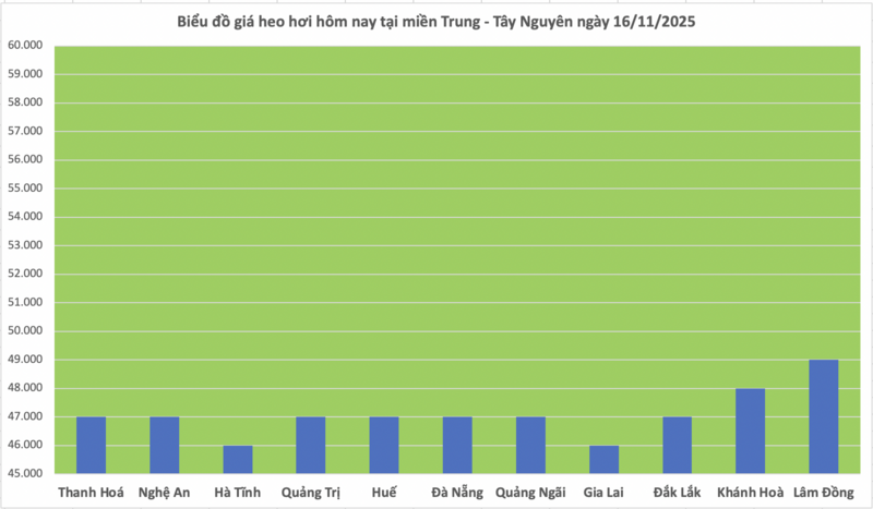 Giá heo hơi hôm nay 16/11/2025: Tạm chững phiên cuối tuần - 2