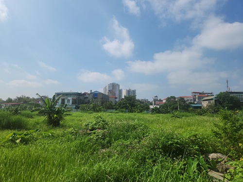 Đất nông nghiệp xen kẹt không đảm bảo về pháp lý. Ảnh: Minh Hạnh