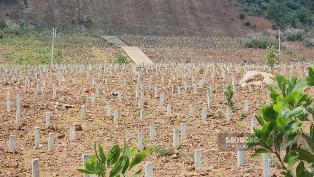 Theo tìm hiểu, giai đoạn 1 dự án có quy mô gần 8ha, bố trí 4.488 lô mộ. Đến tháng 3.2022, diện tích được điều chỉnh tăng lên hơn 17ha.