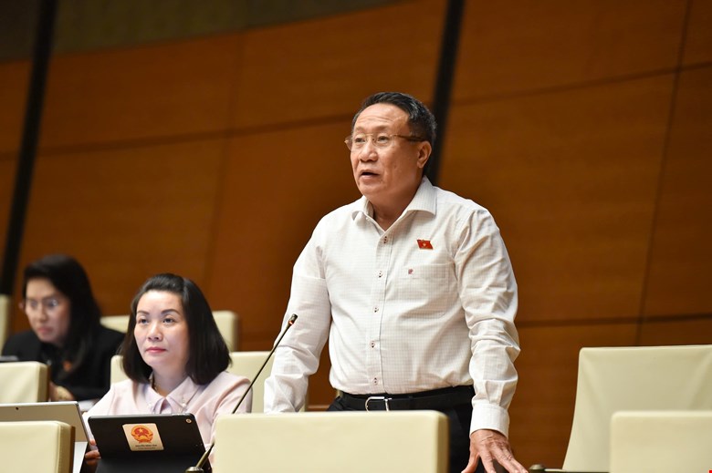 Đại biểu Hà Sỹ Đồng