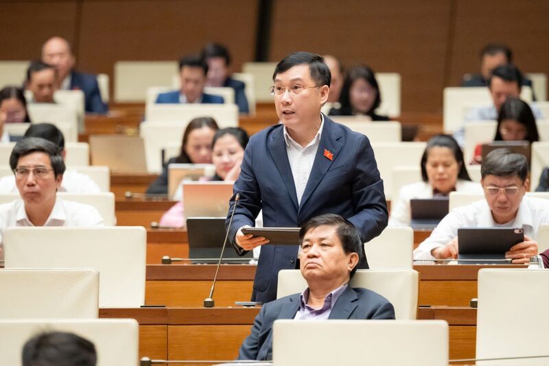 Đại biểu Lê Hoàng Anh - đoàn Gia Lai. Ảnh: QH