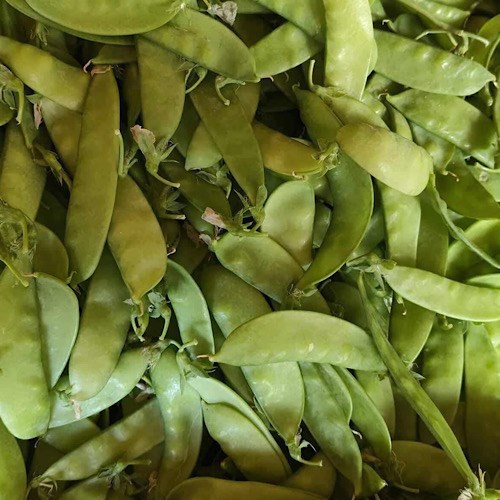 Loại đậu giúp giải độc gan và tăng cường chức năng gan