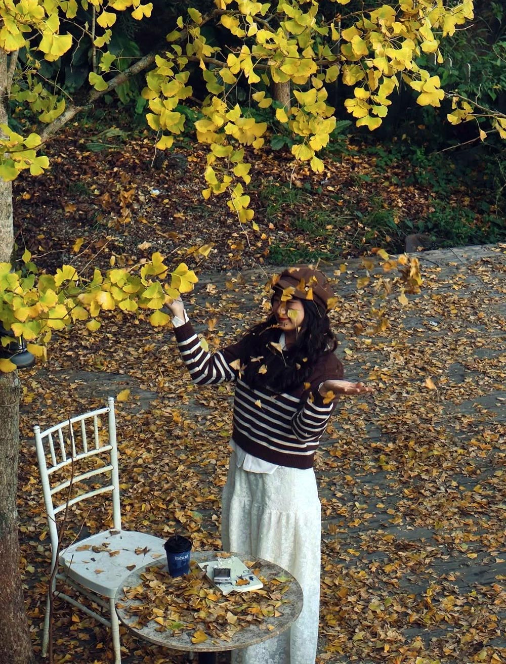 Sắc vàng rực rỡ của tán lá cây ngân hạnh thu hút đông đảo du khách ghé thăm Sa Pa. Hai vị khách trẻ Lê Thu Thảo (24 tuổi) và Nguyễn Thục Linh (26 tuổi) đã dành thời gian ghi lại những khoảnh khắc hiếm hoi trong năm này. Ảnh: Linh Jii