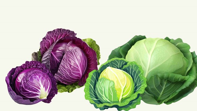 Bắp cải giàu chất xơ, hỗ trợ giảm cân nhưng không phải ai cũng nên ăn