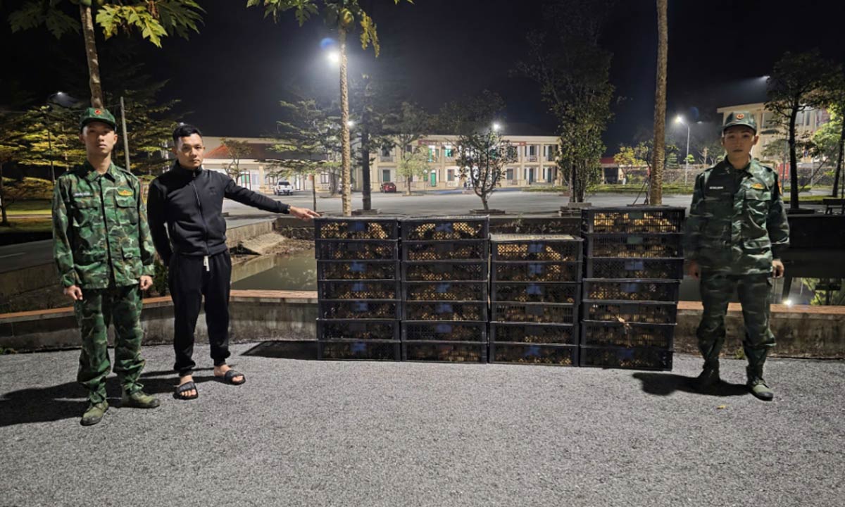 Đối tượng Phạm Văn Vượng cùng tang vật tại Đồn Biên phòng Pò Hèn. Ảnh: Cổng TTĐT Quảng Ninh