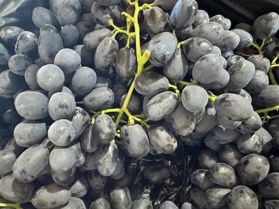 Loại trái cây nhỏ nhưng bổ não, tốt cho tim mạch