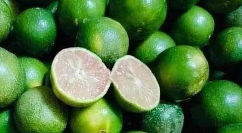 Điều gì xảy ra với cơ thể nếu chỉ uống nước chanh và bỏ bữa sáng