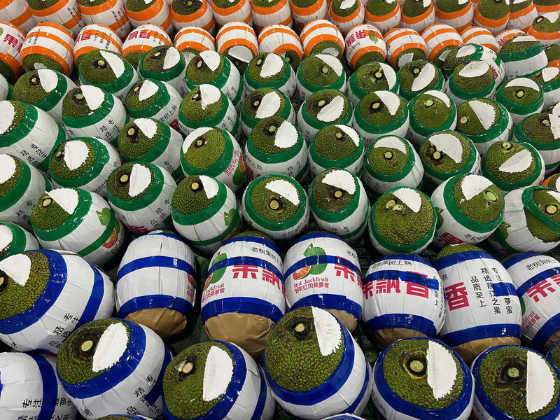Mít được dán tem trước khi xuất khẩu. Ảnh: Công ty Quốc Tín