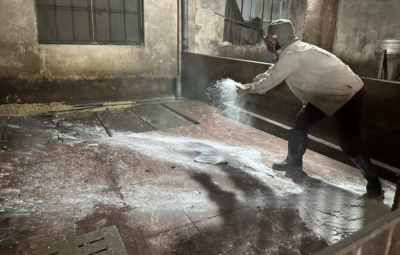 Người dân vệ sinh chuồng trại để phòng dịch. Ảnh: Diệu Anh