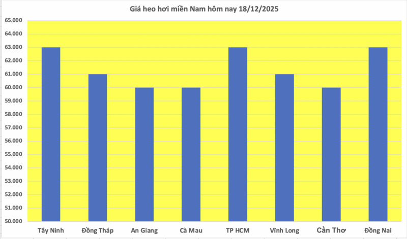 Giá heo hơi hôm nay 18/12/2025: Lập đỉnh mới - 67.000 đồng/kg - 3