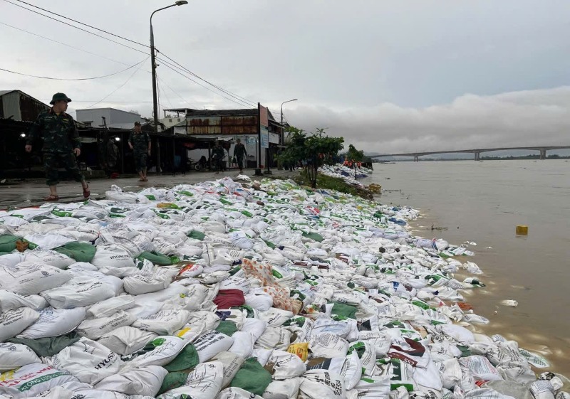 Lực lượng vũ trang nỗ lực gia cố bờ biển An Bàng, thuộc địa bàn phường Hội An Đông, Đà Nẵng, nhằm khắc phục sạt lở nghiêm trọng. Ảnh: Trường An