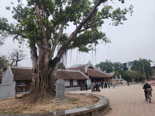 Một góc đình làng Hữu Bằng. Ảnh: Minh Hạnh