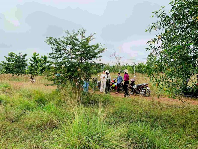 Xử lý các thửa đất đã kê biên để thi hành án vụ lừa đảo bán