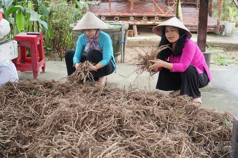 Kết hợp sản xuất nông sản với du lịch nông thôn làm tăng giá trị thương mại cho sản phẩm OCOP, sản phẩm công nghiệp nông thôn tiêu biểu Đà Nẵng.