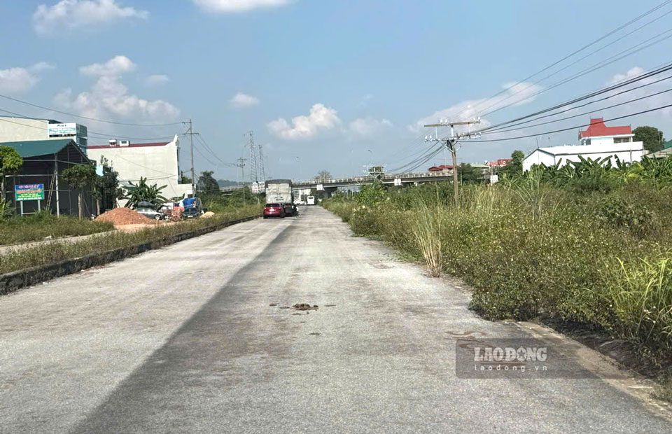 Tỉnh Phú Thọ bố trí 5 nhà ga hỗn hợp, 1 ga hành khách và 1 ga tác nghiệp kỹ thuật.