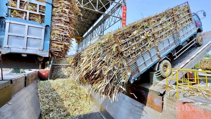 Nhiều dự án quy mô lớn, công nghệ hiện đại đi vào hoạt động, đóng góp vào sự tăng trưởng kinh tế địa phương. Ảnh: Hiền Mai