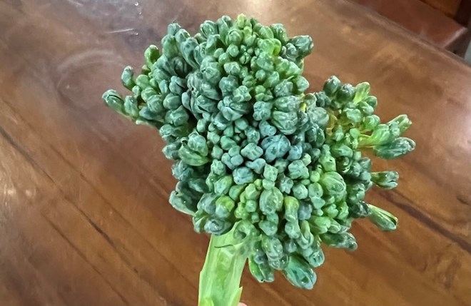 Tăng cơ bắp bằng loại rau đang vào mùa