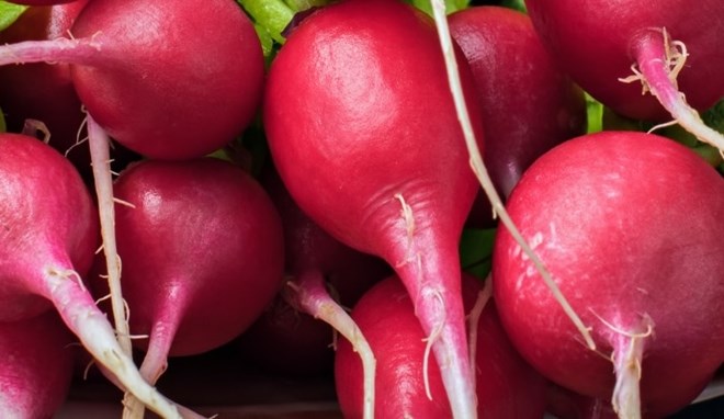 Thải độc gan tự nhiên bằng củ cải đường theo cách chế biến đúng