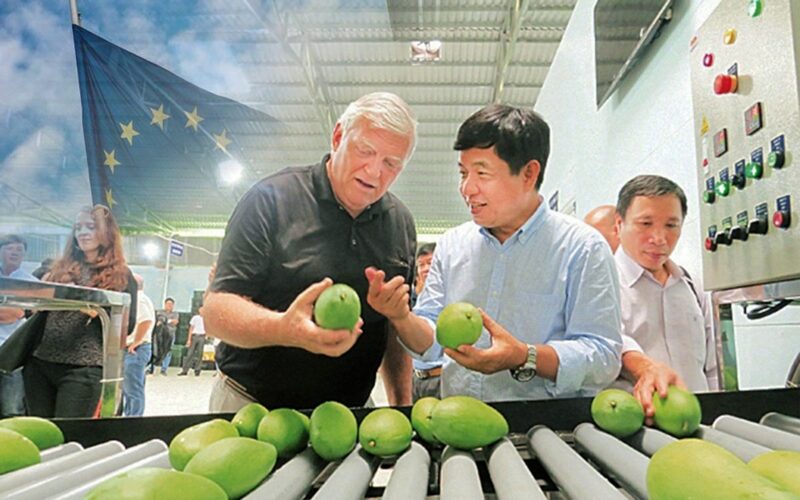 Xoài, bơ, chanh leo... cùng nhiều loại rau khác của Việt Nam có thể bị ảnh hưởng bởi sắc lệnh mới. Ảnh: Nguyễn Hưng