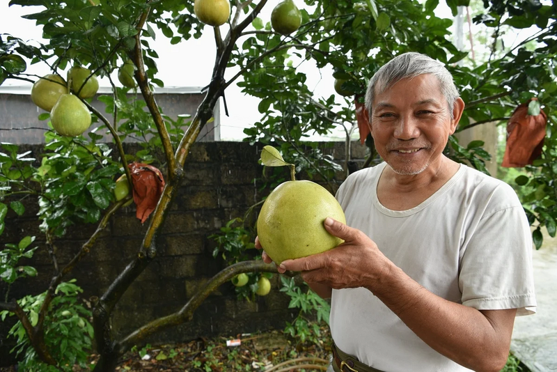 Ông Lê Hữu Diện, Giám đốc Hợp tác xã Nông nghiệp sạch Đức Hậu Lưu. Ảnh: Thanh Huyền