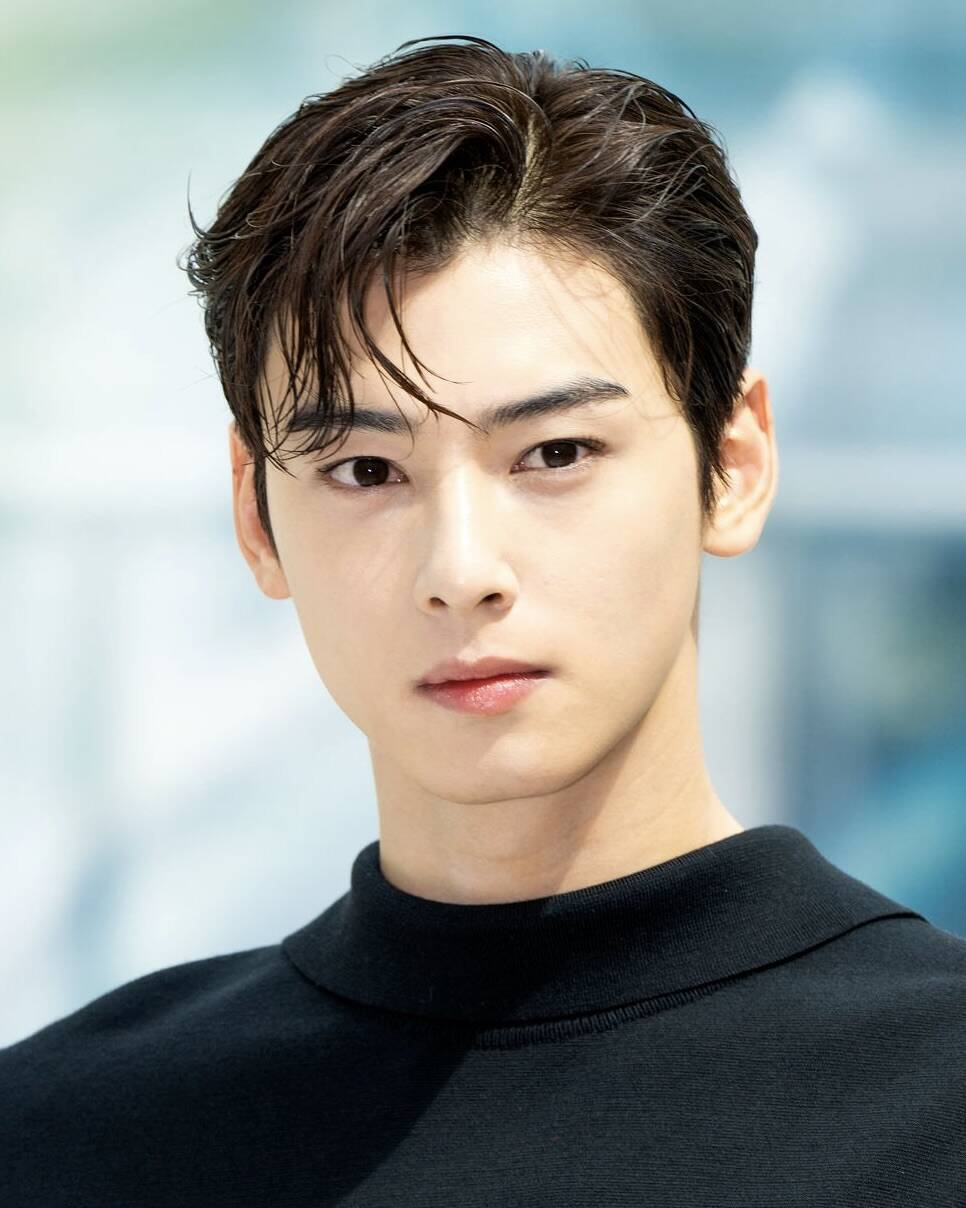 Cha Eun Woo (Astro) từng được ca ngợi là “thiên tài gương mặt“. Ảnh: Lotte