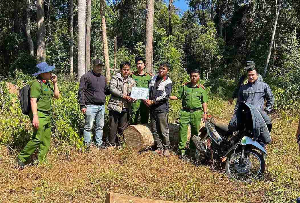 Các đối tượng bị Công an xã Bảo Lâm 5 bắt giữ khi đang khai thác gỗ dổi trái phép. Ảnh: Phúc Khánh