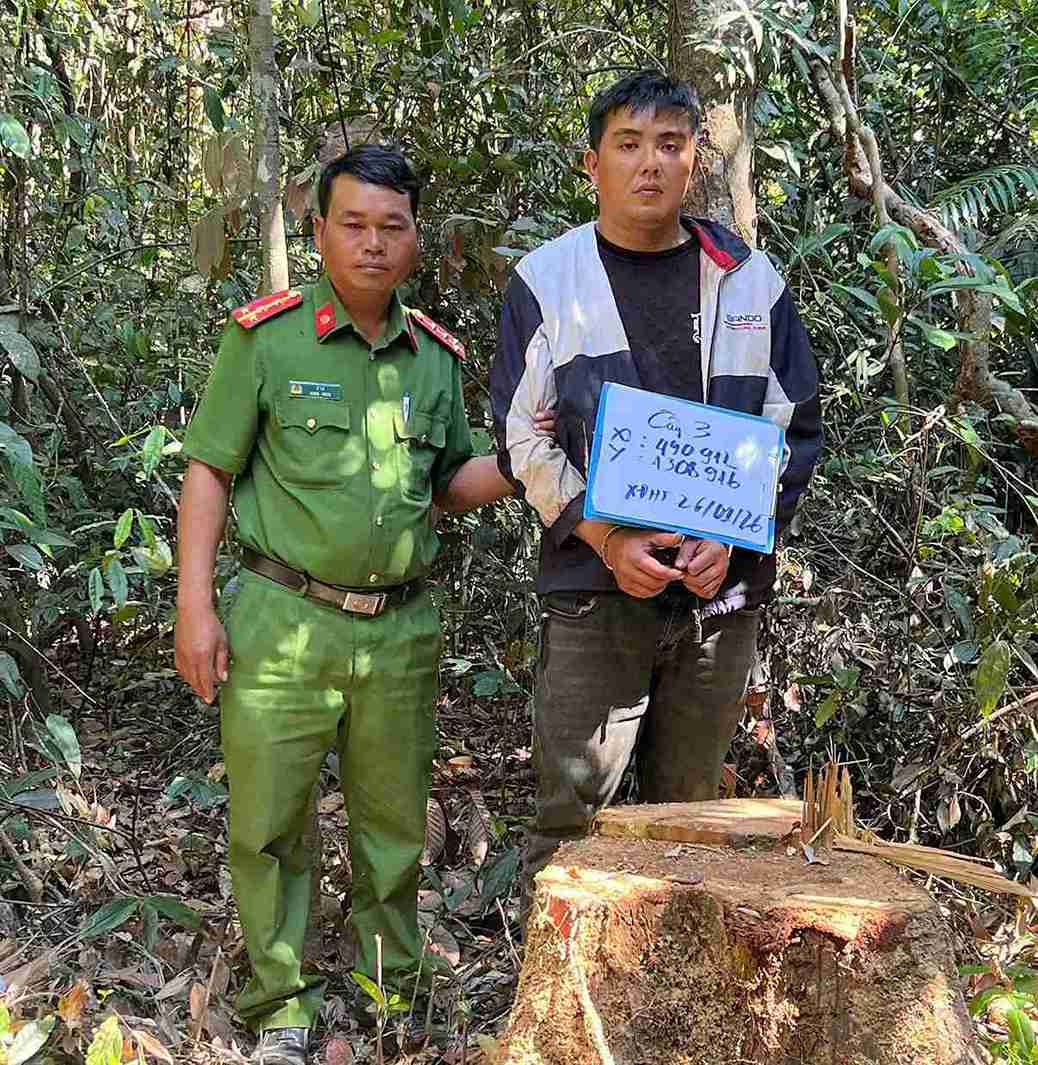 Công an khám nghiệm hiện trường vụ khai thác gỗ dổi khu vực hồ Đồng Nai 4. Ảnh: Khánh Phúc