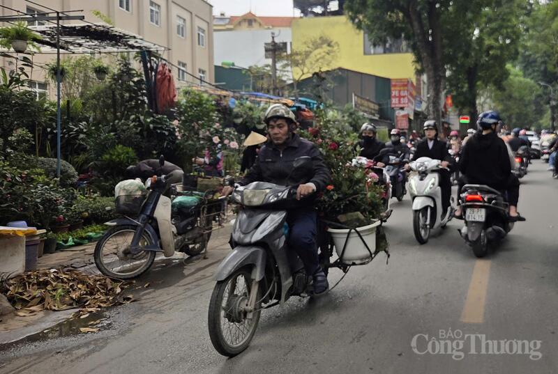 Hoa lan, cây cảnh được xếp gọn trên xe máy, rong ruổi qua các tuyến phố phục vụ nhu cầu mua nhanh của người dân dịp giáp Tết.