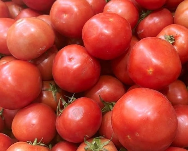 Người bệnh sỏi thận nên hạn chế ăn cà chua