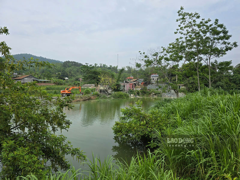 Những vi phạm của HTX Giang Sơn kéo dài, liên tục tái diễn. Ảnh: Duy Dũng