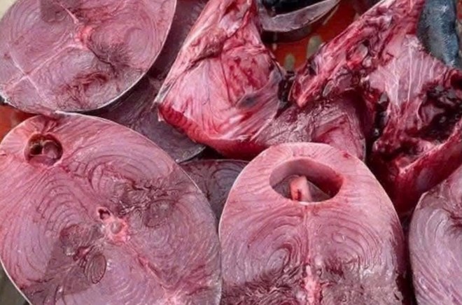 Giảm mỡ cánh tay bằng những loại cá nào?