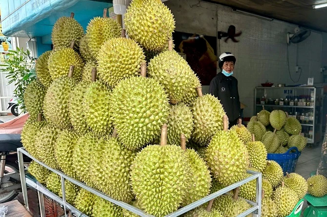 Các chuyên gia nhận định giá tăng cao mang lại tín hiệu tích cực trong ngắn hạn, song để phát triển bền vững, ngành sầu riêng cần kiểm soát chặt quy hoạch diện tích Các chuyên gia nhận định giá tăng cao mang lại tín hiệu tích cực trong ngắn hạn, song để phát triển bền vững, ngành sầu riêng cần kiểm soát chặt quy hoạch diện tích