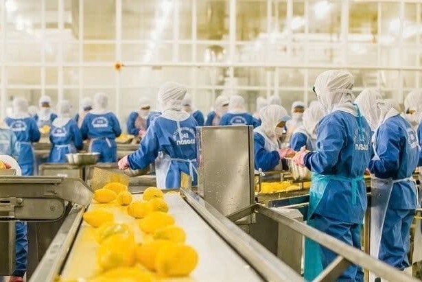 Công ty cổ phần Nafoods Group cũng đang bị chậm tiến độ giao hàng