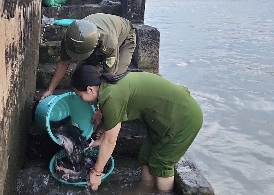 Công an phường Cái Răng thả lại khoảng 0,6 kg cá các loại về môi trường tự nhiên trên sông Cái Răng. Ảnh: Công an Cần Thơ