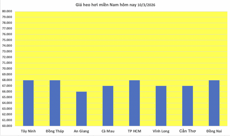 Giá heo hơi hôm nay 10/3/2026: Giảm đồng loạt tại miền Trung - 3