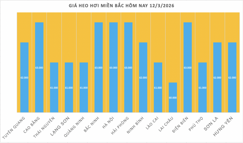Giá heo hơi hôm nay 12/3/2026: Biến động trái chiều - 1