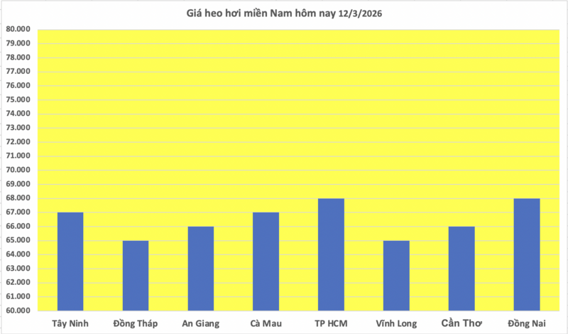 Giá heo hơi hôm nay 12/3/2026: Biến động trái chiều - 3