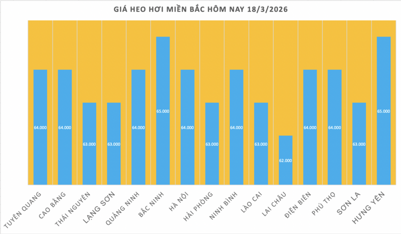 Giá heo hơi hôm nay 18/3/2026: Tăng diện rộng trên cả 3 miền - 1