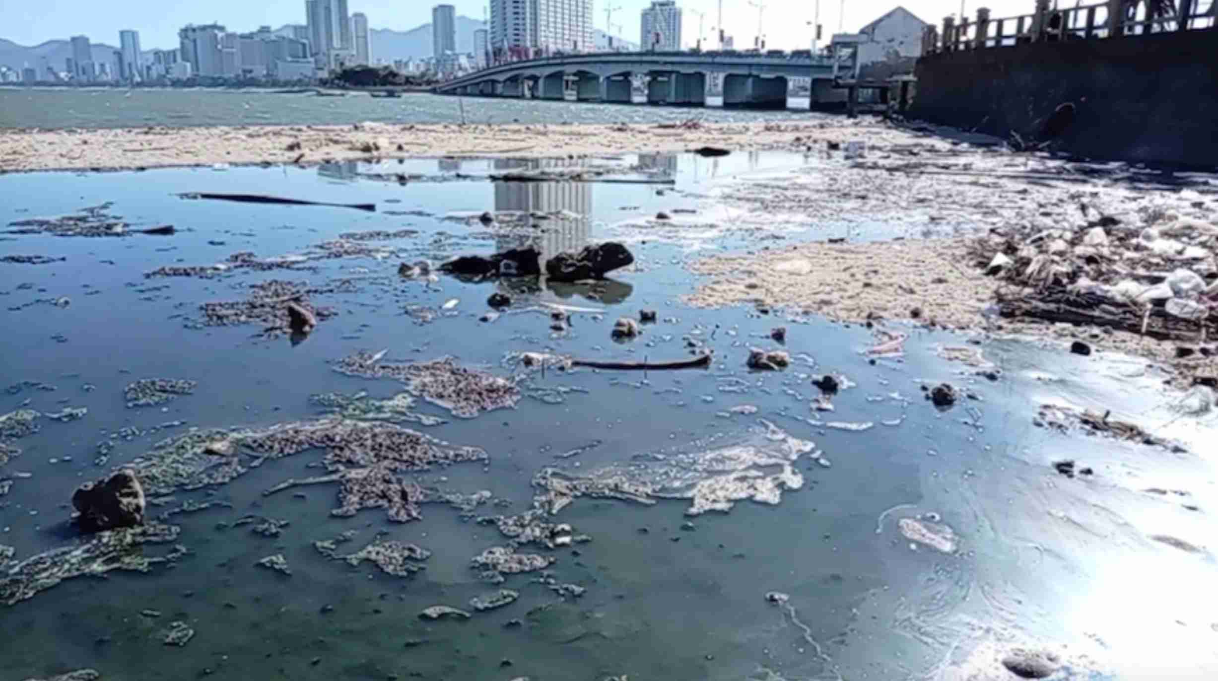 Nước thải chưa qua xử lý đổ thẳng ra bờ biển Nha Trang. Ảnh: Lộc Thọ