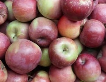 Ăn táo để hỗ trợ thải độc gan: Nên hiểu đúng