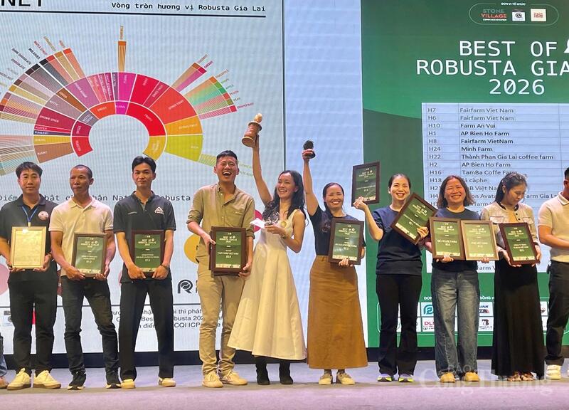 Những đơn vị có mẫu cà phê Robusta lọt top trong Chương trình “Best of Robusta Gia Lai 2026”.