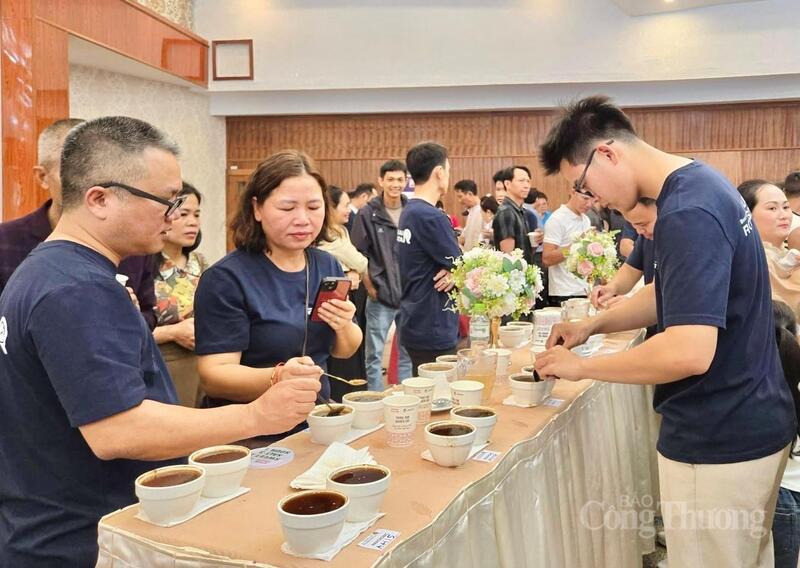 Người sản xuất cà phê thử nếm (cupping) trong khuôn khổ Chương trình “Best of Robusta Gia Lai 2026”.