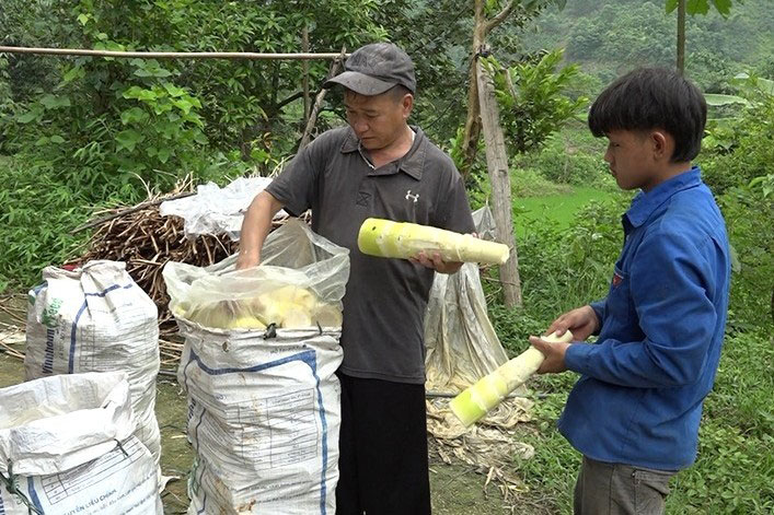 Nhờ có sự kết nối Công - Nông mà sản phẩm măng của người dân được bao tiêu ổn định