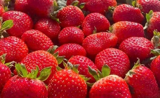 Cách chọn loại trái cây làm da đẹp nhất