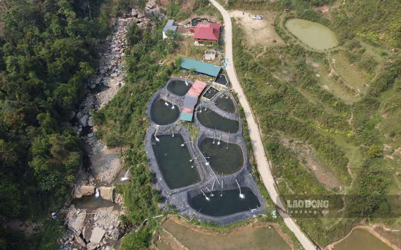 Toàn cảnh trại cá tầm, cá hồi không phép. Ảnh: Tân Văn